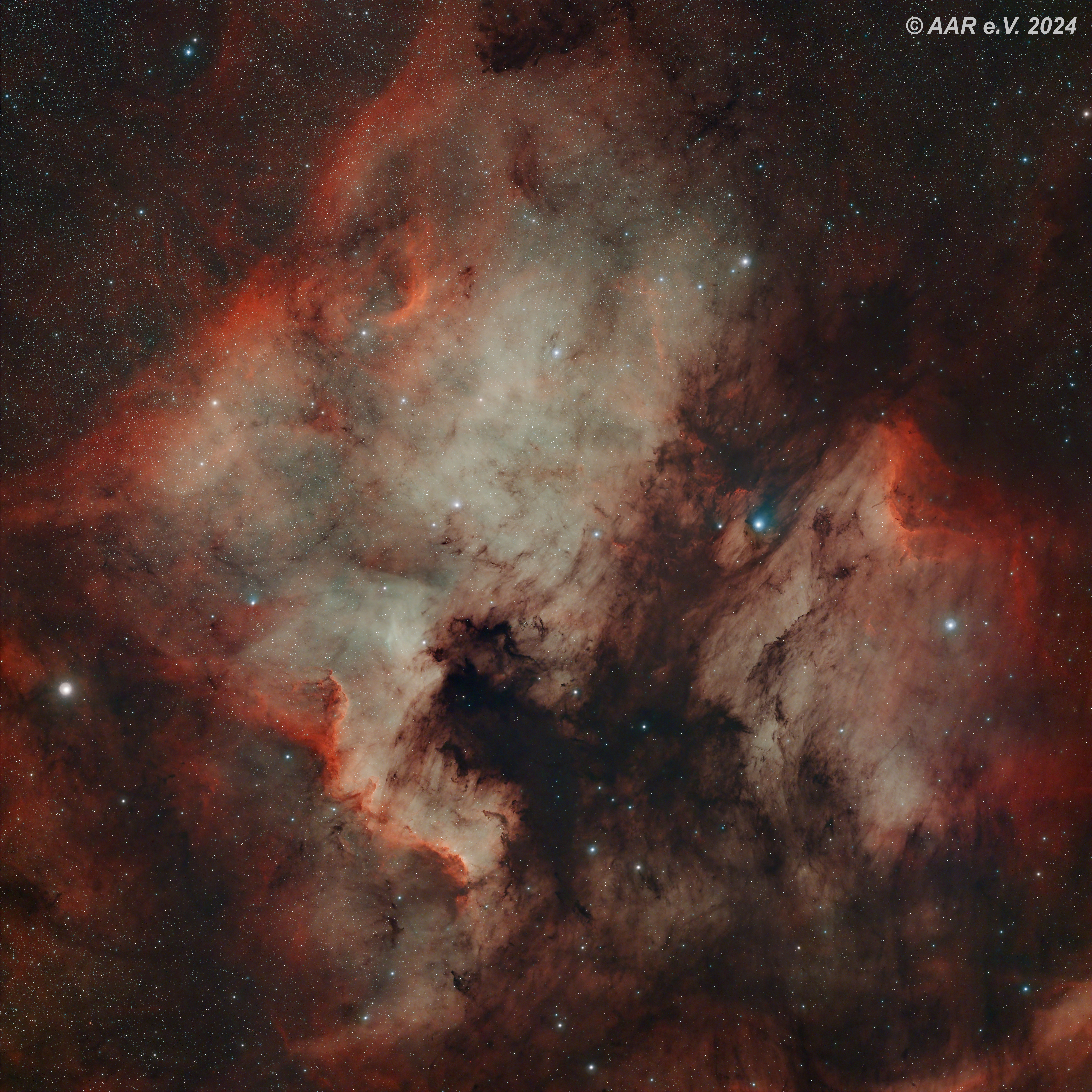 Nordamerika-Nebel - NGC 7000 im Juli und August 2024 Bild Nordamerika-Nebel - NGC 7000 im Juli und August 2024